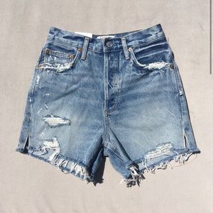New AGOLDE Dee High Rise Denim Shorts Ricochet 25